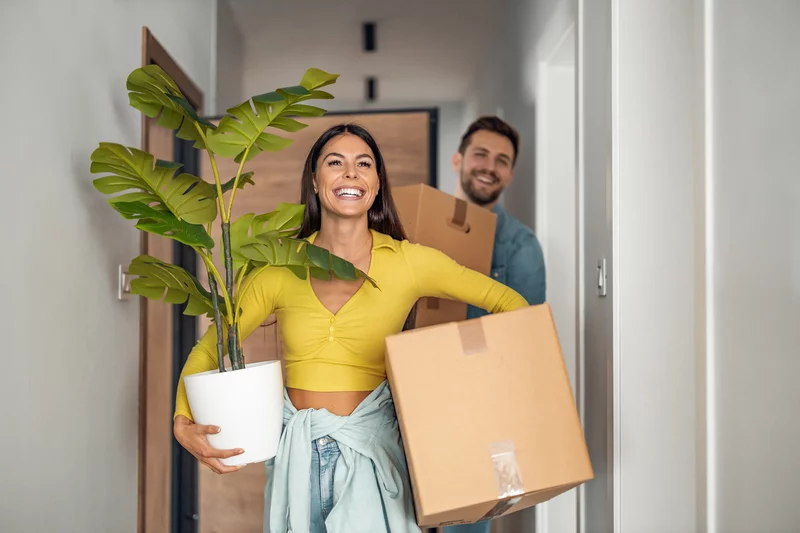 Einzugssituation mit Kartons und Pflanze Ein Paar trägt Kartons und Pflanzen in die Wohnung